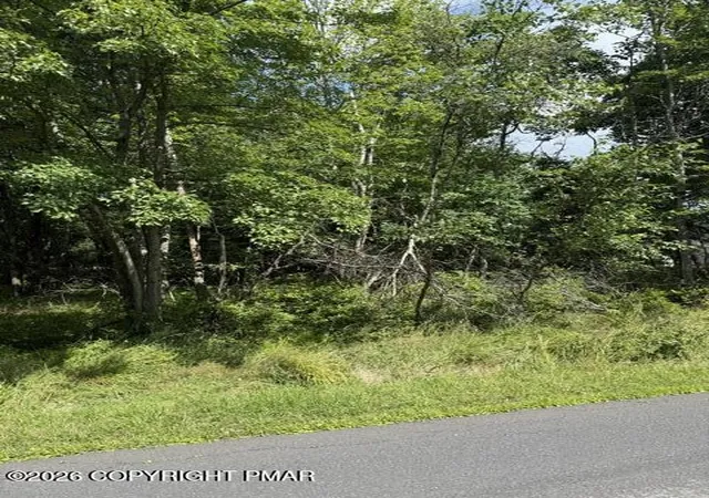 Photo 3 of Land for sale at 697 Clearview Dr, Long Pond, PA 18334 | MLS# PM-143554 | Listing updated on 2026-07-31