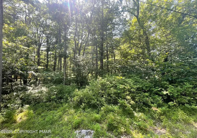 Photo 4 of Land for sale at A566 Orange Ln, Jim Thorpe, PA 18229 | MLS# PM-143681 | Listing updated on 2026-08-06