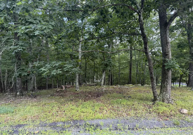 Photo 1 of Land for sale at Lot 185 Gold Finch Rd, Bushkill, PA 18324 | MLS# PM-143810 | Listing updated on 2026-08-10