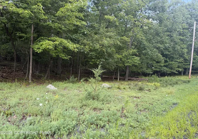 Photo 5 of Land for sale at Lot 185 Gold Finch Rd, Bushkill, PA 18324 | MLS# PM-143810 | Listing updated on 2026-08-10