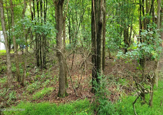 Photo 1 of Sale Pending at Ev1278 Lipo Way, Albrightsville, PA 18210 | MLS# PM-143844 | Listing updated on 2026-08-31