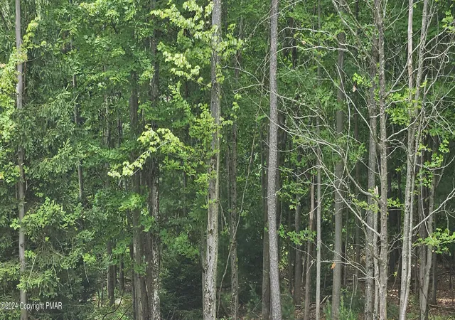 Photo 1 of Land for sale at Ash Dr 406, Pocono Summit, PA 18346 | MLS# PM-143822 | Listing updated on 2026-08-10
