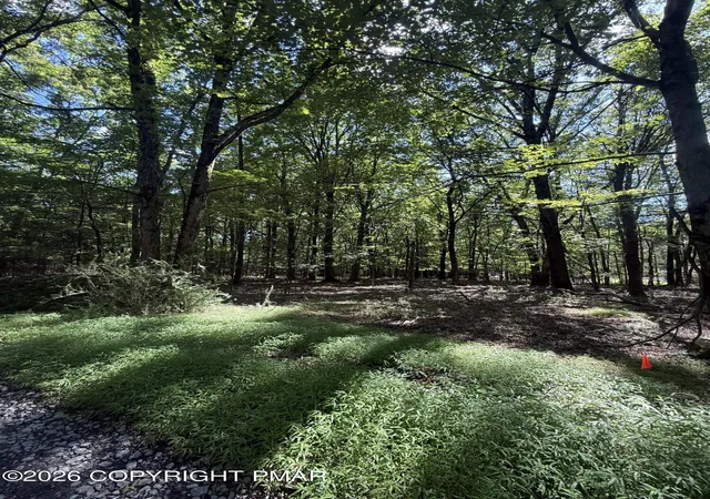 Photo 13 of Land for sale at Johns Rd 549, Effort, PA 18330 | MLS# PM-143874 | Listing updated on 2026-08-12