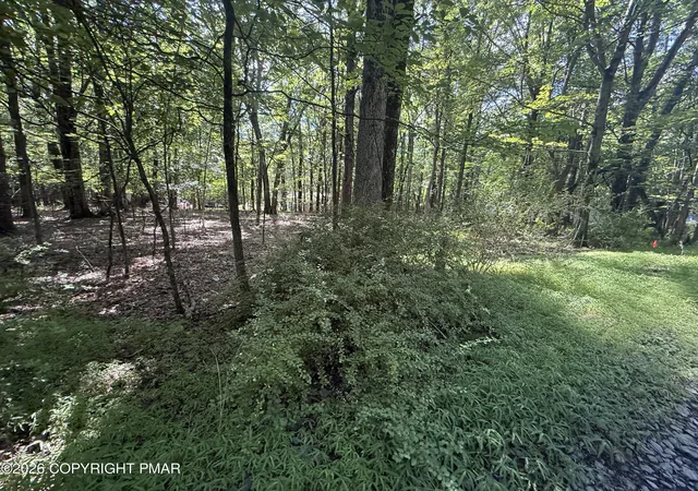 Photo 2 of Land for sale at Johns Rd 549, Effort, PA 18330 | MLS# PM-143874 | Listing updated on 2026-08-12