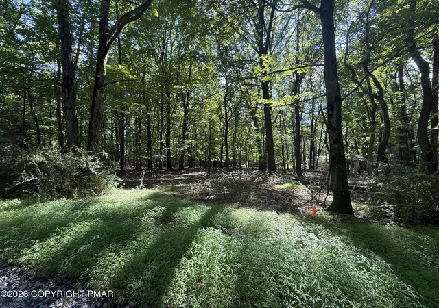 Photo 3 of Land for sale at Johns Rd 549, Effort, PA 18330 | MLS# PM-143874 | Listing updated on 2026-08-12