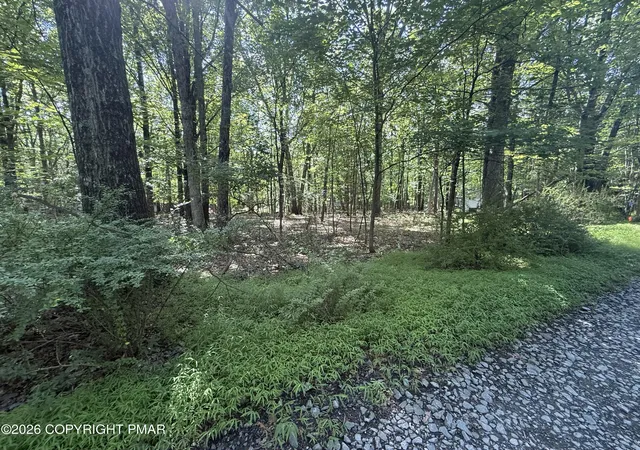 Photo 4 of Land for sale at Johns Rd 549, Effort, PA 18330 | MLS# PM-143874 | Listing updated on 2026-08-12