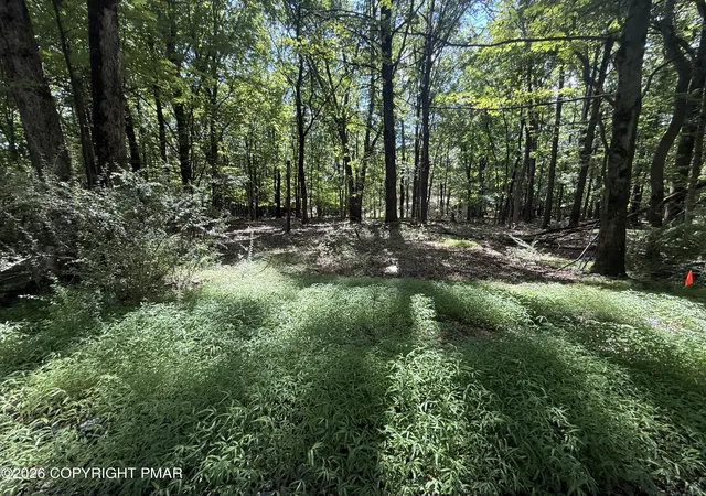 Photo 5 of Land for sale at Johns Rd 549, Effort, PA 18330 | MLS# PM-143874 | Listing updated on 2026-08-12