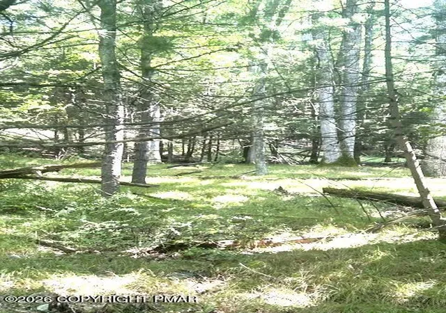 Photo 3 of Sale Pending at Bear Town Rd, Cresco, PA 18326 | MLS# PM-144012 | Listing updated on 2026-08-24