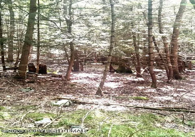 Photo 4 of Sale Pending at Bear Town Rd, Cresco, PA 18326 | MLS# PM-144012 | Listing updated on 2026-08-24