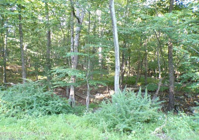 Photo 1 of Land for sale at Blue Ridge Dr 1208, Canadensis, PA 18325 | MLS# PM-143936 | Listing updated on 2026-08-19