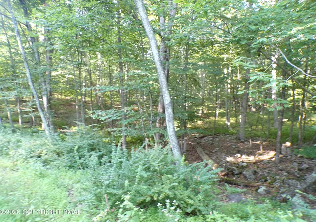 Photo 2 of Land for sale at Blue Ridge Dr 1208, Canadensis, PA 18325 | MLS# PM-143936 | Listing updated on 2026-08-19
