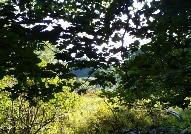 Photo 3 of Land for sale at Blue Ridge Dr 1208, Canadensis, PA 18325 | MLS# PM-143936 | Listing updated on 2026-08-19