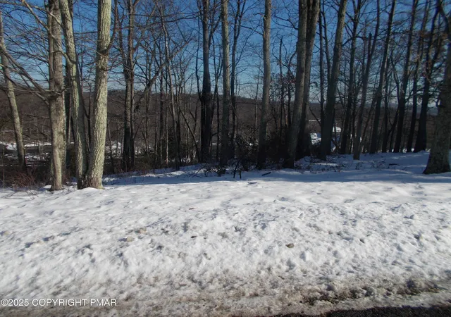 Photo 1 of Land for sale at 78 High Mountain Ln, Tannersville, PA 18372 | MLS# PM-143983 | Listing updated on 2026-08-19