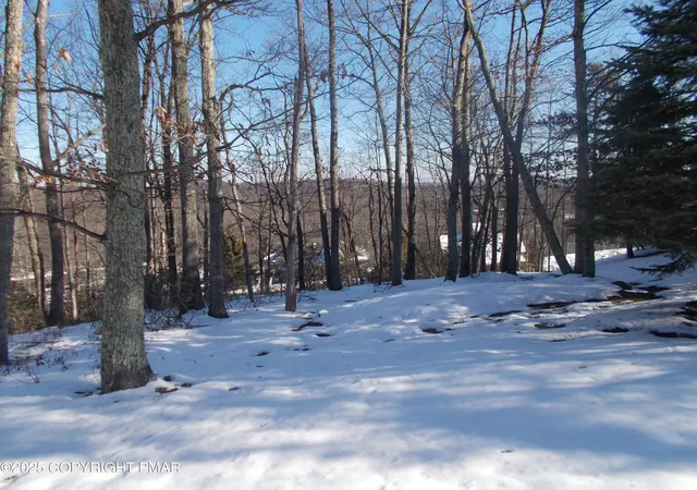 Photo 2 of Land for sale at 78 High Mountain Ln, Tannersville, PA 18372 | MLS# PM-143983 | Listing updated on 2026-08-19