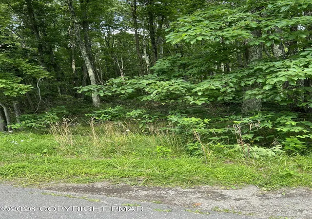 Photo 3 of Land for sale at Brookeville Ter 121 Ter, Mount Pocono, PA 18344 | MLS# PM-144149 | Listing updated on 2026-08-23