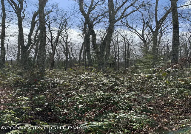 Photo 4 of Land for sale at 266 Fox Rd, Dingmans Ferry, PA 18328 | MLS# PM-144249 | Listing updated on 2026-08-27