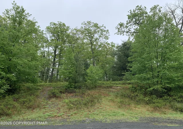 Photo 5 of Land for sale at 266 Fox Rd, Dingmans Ferry, PA 18328 | MLS# PM-144249 | Listing updated on 2026-08-27