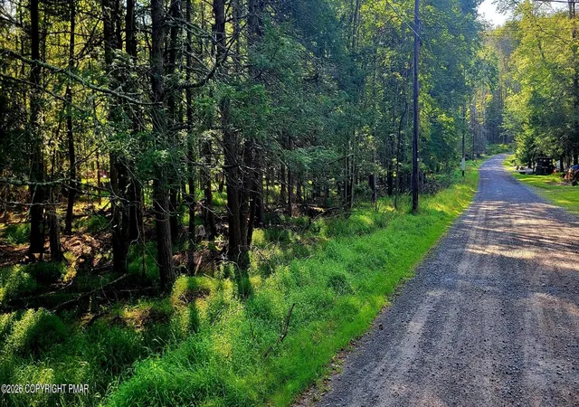 Photo 1 of Land for sale at Netcong Cir 33 Cir, Pocono Lake, PA 18347 | MLS# PM-144258 | Listing updated on 2026-09-05