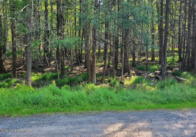 Photo 2 of Land for sale at Netcong Cir 33 Cir, Pocono Lake, PA 18347 | MLS# PM-144258 | Listing updated on 2026-09-05