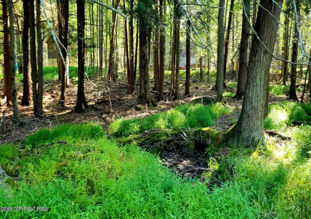 Photo 2 of Land for sale at Netcong Cir 33 Cir, Pocono Lake, PA 18347 | MLS# PM-144258 | Listing updated on 2026-09-05