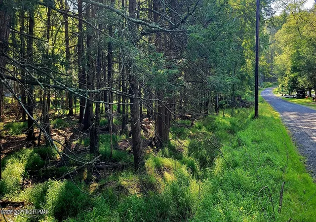 Photo 3 of Land for sale at Netcong Cir 33 Cir, Pocono Lake, PA 18347 | MLS# PM-144258 | Listing updated on 2026-09-05