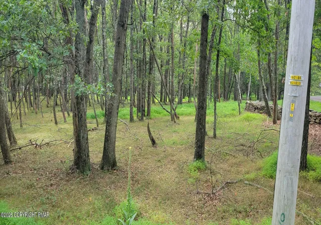Photo 2 of Land for sale at Chippewa 718 Trl, Albrightsville, PA 18210 | MLS# PM-144262 | Listing updated on 2026-08-27