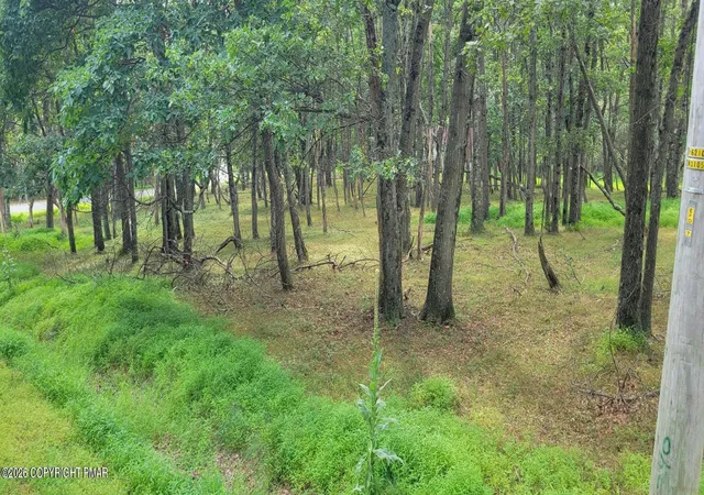 Photo 3 of Land for sale at Chippewa 718 Trl, Albrightsville, PA 18210 | MLS# PM-144262 | Listing updated on 2026-08-27