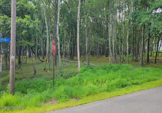 Photo 4 of Land for sale at Chippewa 718 Trl, Albrightsville, PA 18210 | MLS# PM-144262 | Listing updated on 2026-08-27