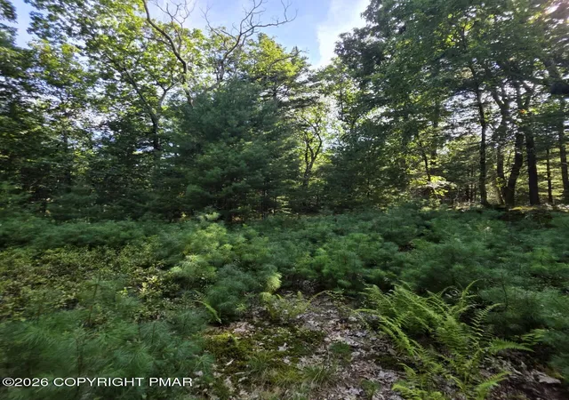 Photo 27 of Land for sale at 179 Mountain Top Dr, Dingmans Ferry, PA 18328 | MLS# PM-144264 | Listing updated on 2026-08-27