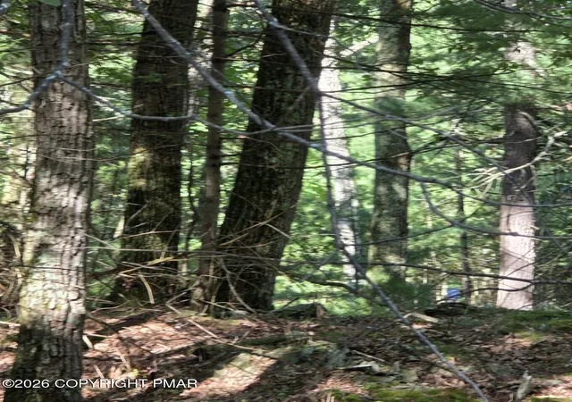 Photo 4 of Land for sale at 179 Mountain Top Dr, Dingmans Ferry, PA 18328 | MLS# PM-144264 | Listing updated on 2026-08-27