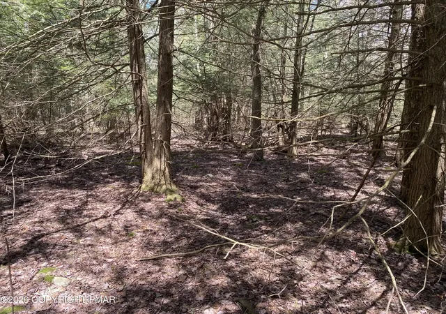 Photo 4 of Land for sale at Waverly St 24, Pocono Summit, PA 18346 | MLS# PM-144322 | Listing updated on 2026-09-06