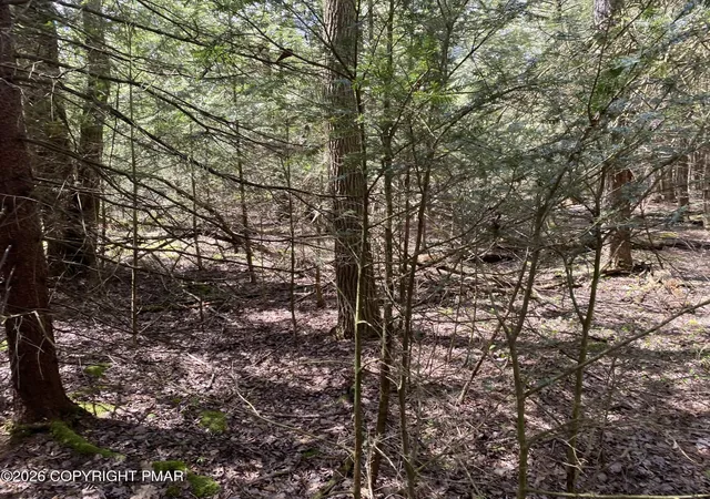Photo 9 of Land for sale at Waverly St 24, Pocono Summit, PA 18346 | MLS# PM-144322 | Listing updated on 2026-09-06