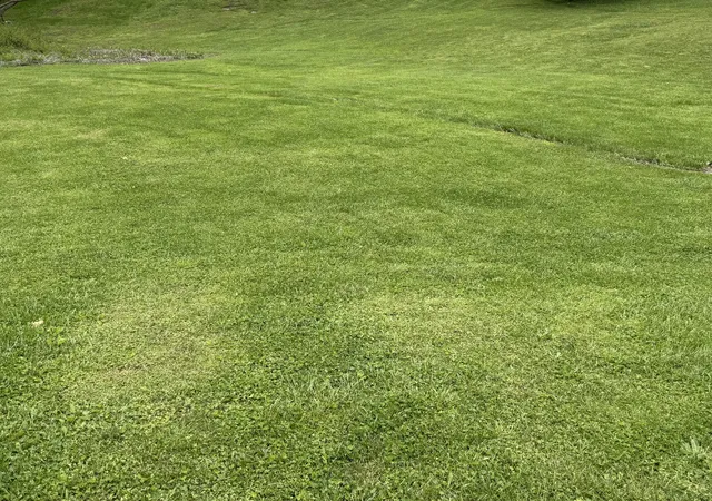 Photo 4 of Land for sale at 9999 Summer Springs Dr, London, KY 40744 | MLS# 25009386 | Listing updated on 2026-09-30