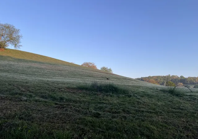 Photo 3 of Land for sale at 9999 Shiner Hl Phase Ii Lot #27, Williamsburg, KY 40769 | MLS# 24007892 | Listing updated on 2026-10-13