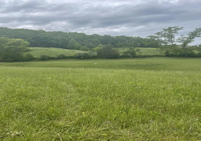 Photo 3 of Land for sale at 9999 Shiner Hl Phase Ii Lot #35, Williamsburg, KY 40769 | MLS# 24007901 | Listing updated on 2026-10-13