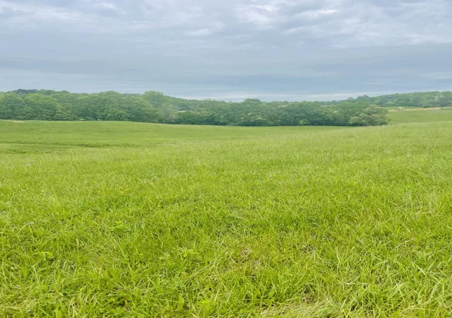 Photo 3 of Land for sale at 9999 Shiner Hl Phase Ii Lot #39, Williamsburg, KY 40769 | MLS# 24007905 | Listing updated on 2026-10-13