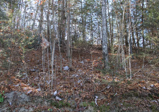Photo 3 of Land for sale at 1265 Lake Rd, London, KY 40741 | MLS# 22024646 | Listing updated on 2026-10-13