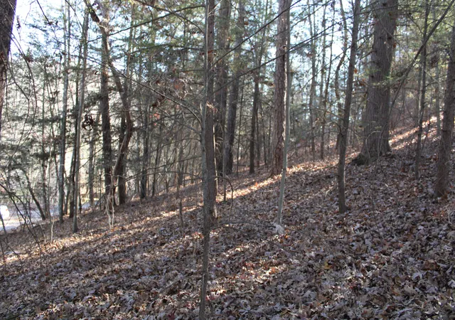 Photo 3 of Land for sale at 1265 Lake Rd, London, KY 40741 | MLS# 22024646 | Listing updated on 2026-10-13