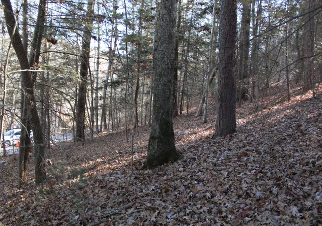 Photo 4 of Land for sale at 1265 Lake Rd, London, KY 40741 | MLS# 22024646 | Listing updated on 2026-10-13