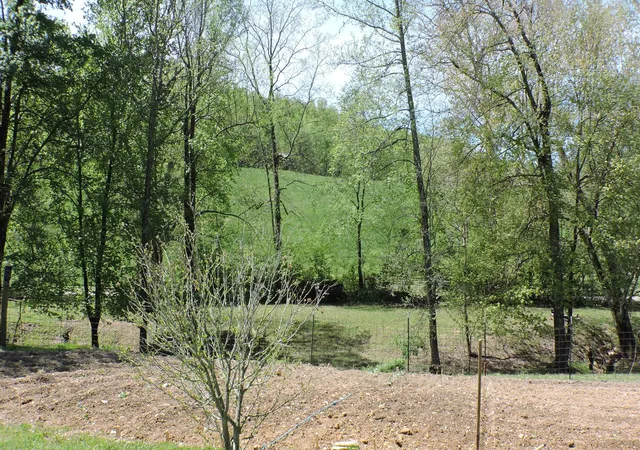 Homes for sale in Owingsville, KY | 1286 Old State Rd, Owingsville, KY 40360 | MLS# 24023114