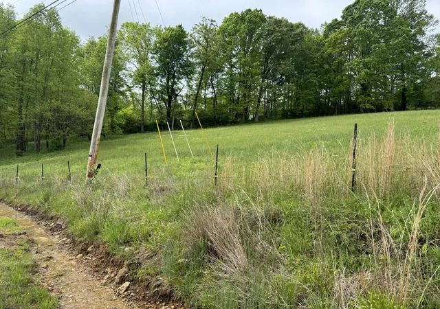 Photo 2 of Land for sale at 9999 Hensley Rd, East Bernstadt, KY 40729 | MLS# 25009559 | Listing updated on 2026-06-11