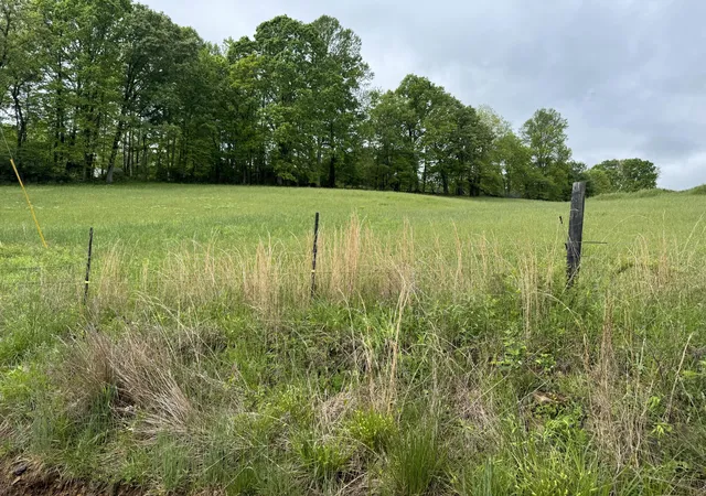 Photo 3 of Land for sale at 9999 Hensley Rd, East Bernstadt, KY 40729 | MLS# 25009559 | Listing updated on 2026-06-11
