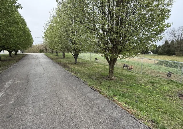 Homes for sale in London, KY | 560 Anders Rd, London, KY 40744 | MLS# 25006308