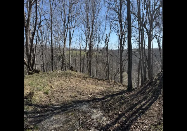28th image of 0000 Tates Creek Rd, Richmond, KY 40475 | MLS# 25007718