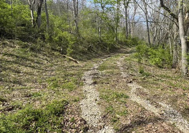 3rd image of 0000 Tates Creek Rd, Richmond, KY 40475 | MLS# 25007718
