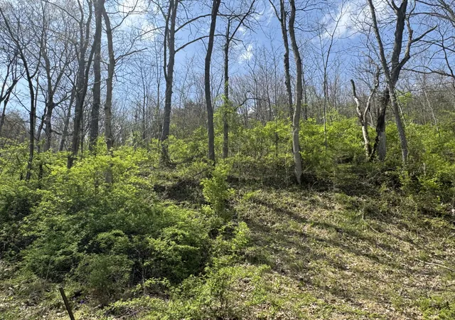 4th image of 0000 Tates Creek Rd, Richmond, KY 40475 | MLS# 25007718