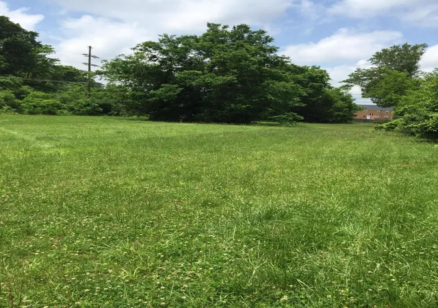 3rd image of 500 Bob-O-Link Dr, Lexington, KY 40503 | MLS# 25010087