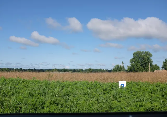 Photo 4 of Land for sale at 6 Squirrel Path #Lot 6, East Bernstadt, KY 40729 | MLS# 22015186 | Listing updated on 2026-06-19