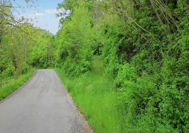 Photo 2 of Land for sale at 0000 Little Wolf Crk Rd, Williamsburg, KY 40769 | MLS# 25009735 | Listing updated on 2025-09-12