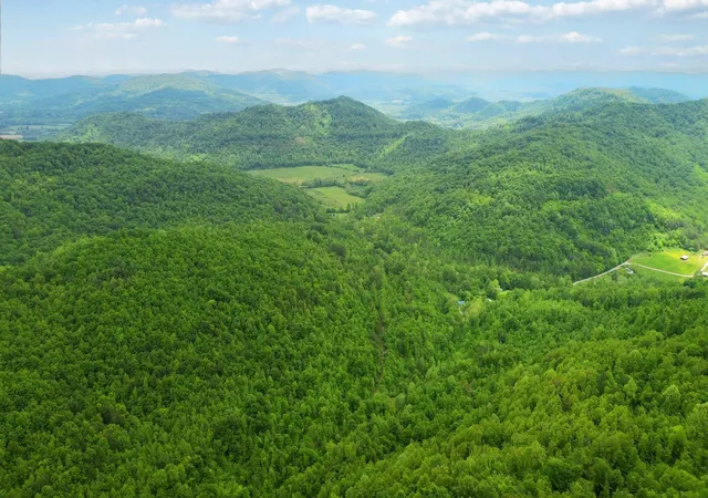 Photo 3 of Land for sale at 0000 Little Wolf Crk Rd, Williamsburg, KY 40769 | MLS# 25009735 | Listing updated on 2025-09-12